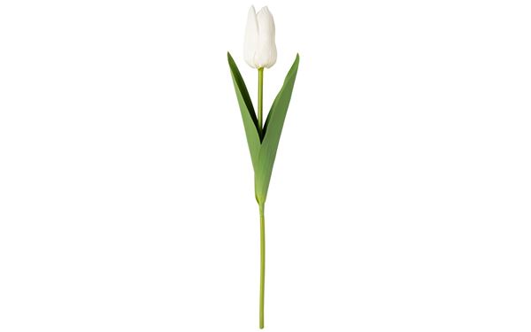 Kunstblume Tulip