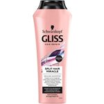 Shampoo Gliss