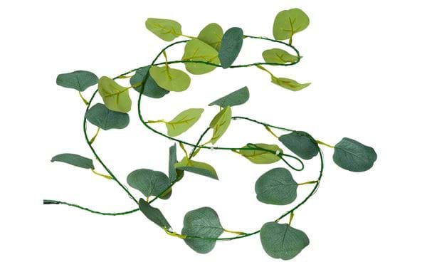 Solcellsslinga Eucalyptus