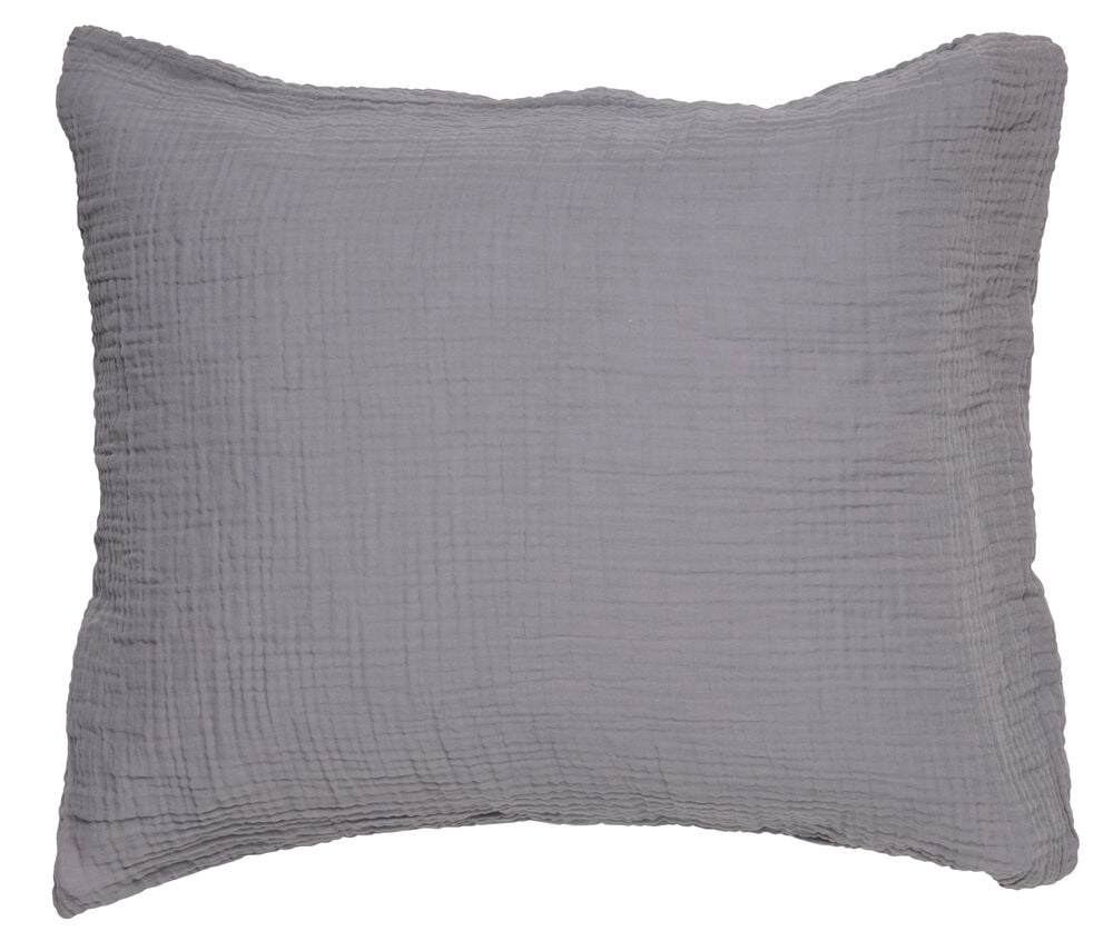 Viy, Sankt-Peterburg kompaniyasining pornografik filmi