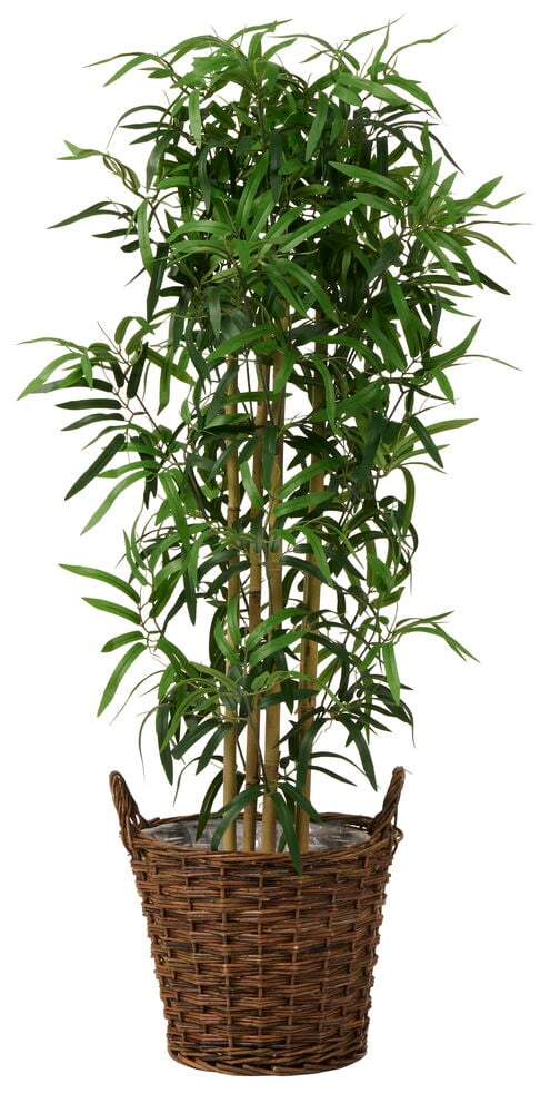 Krukke Willow