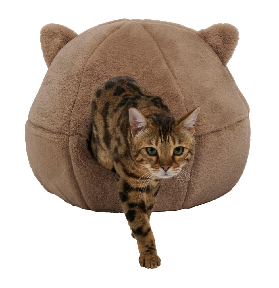 Kattbädd Pet Club