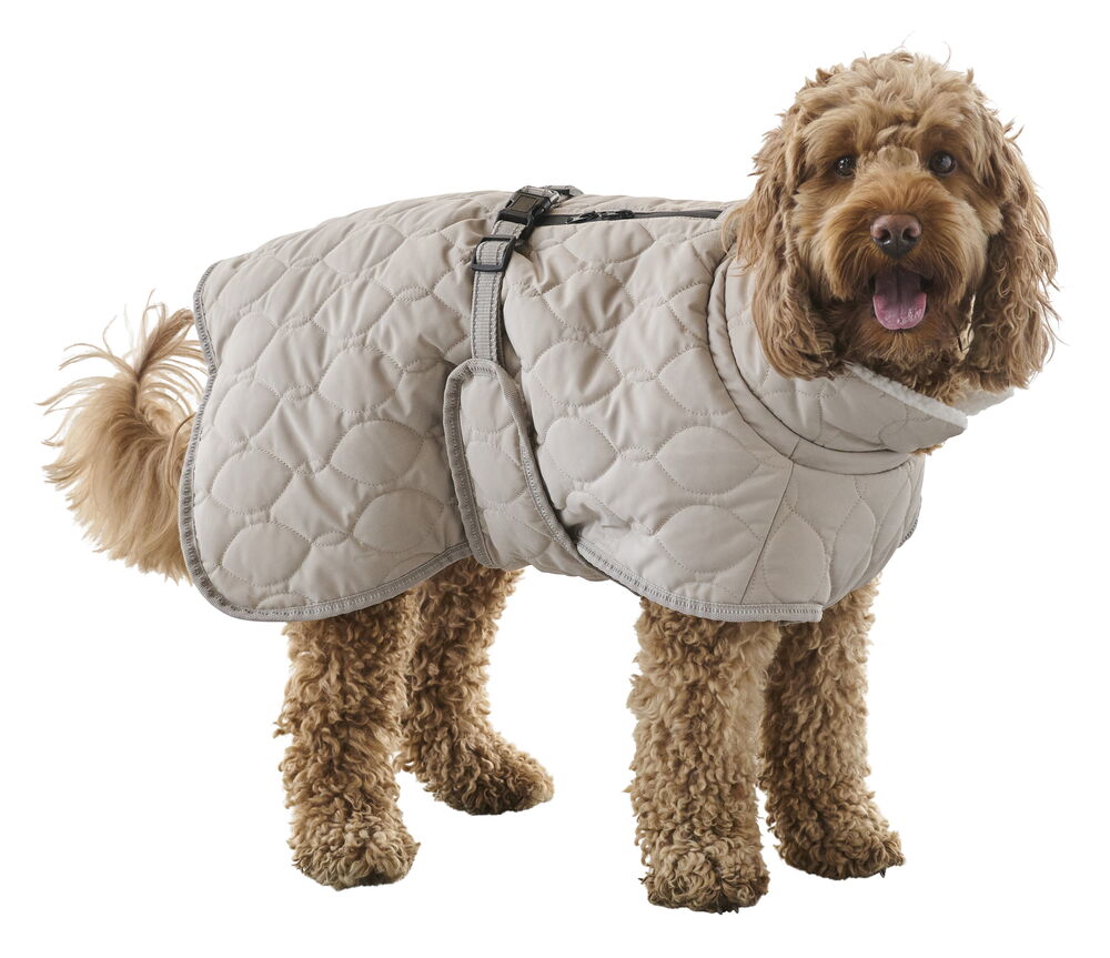 Hundjacka Quilted