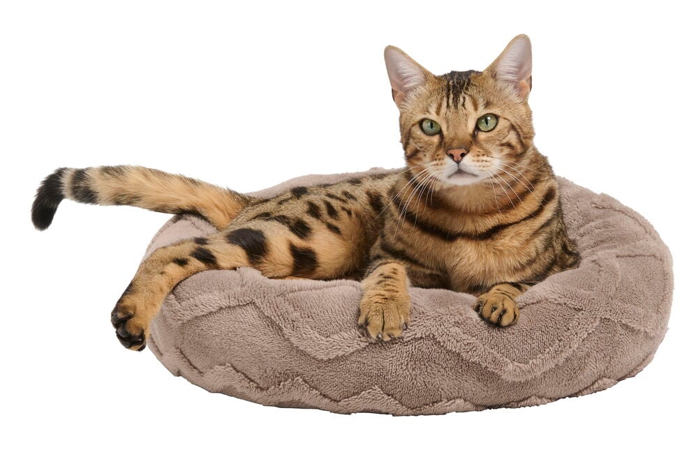 Djurbädd Cozy Round