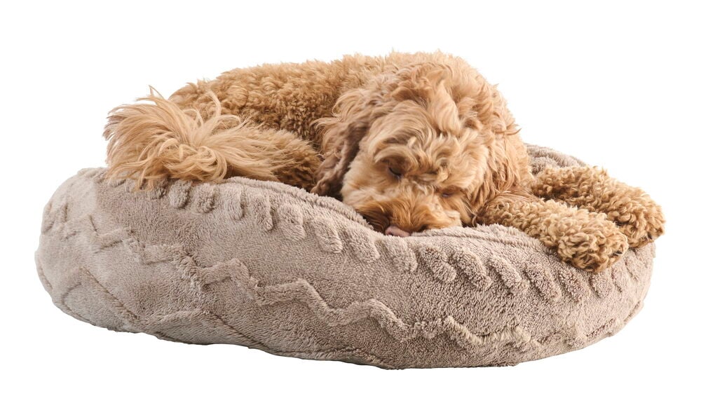 hundebetten wolke 7 Wolke 7 Hundebett SoftTouch NEU