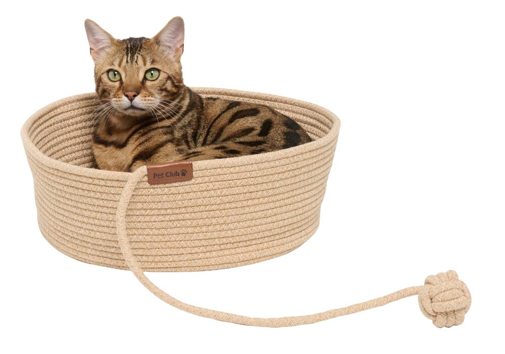 Kattbädd med boll