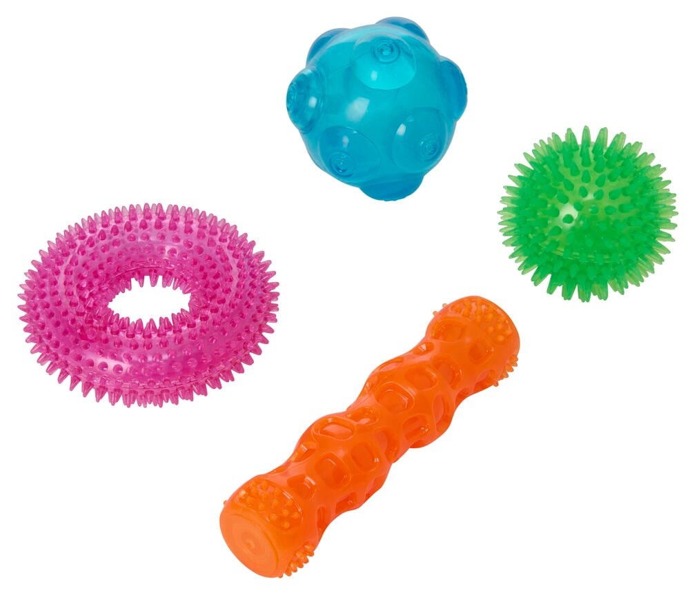 Hundleksak Pet Club