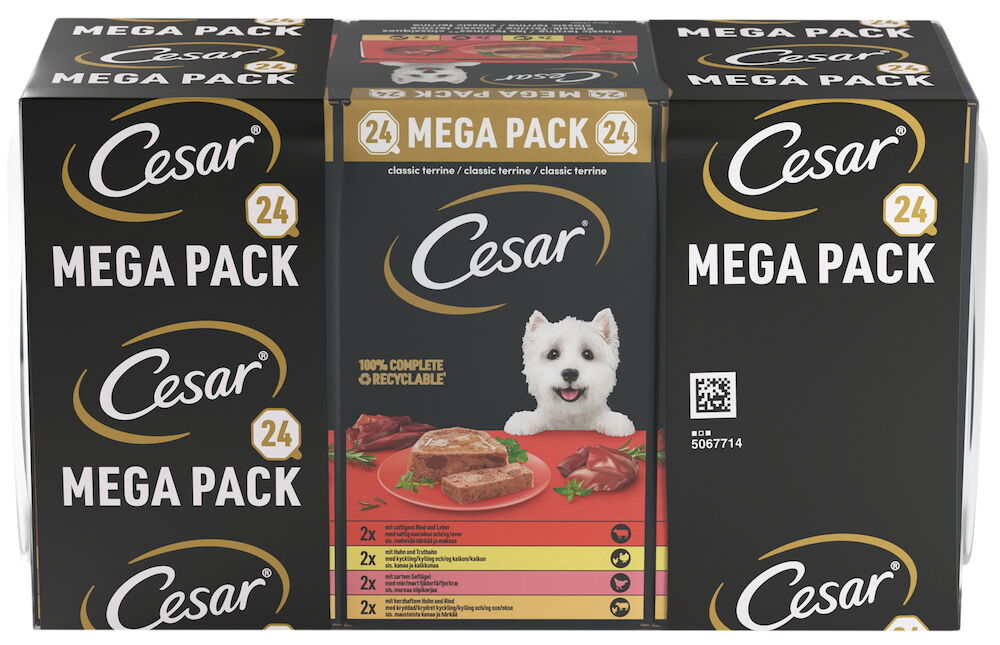 Våtfoder, hund Cesar
