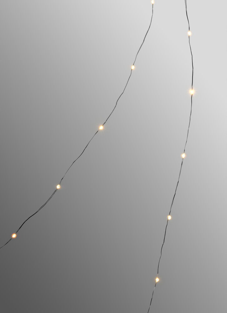 Ljusslinga Sirlig