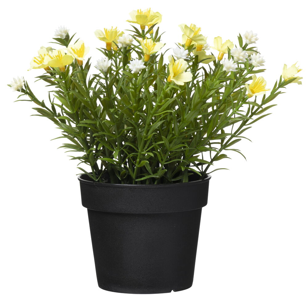 Topfpflanze Sommerblumen | Rusta.com