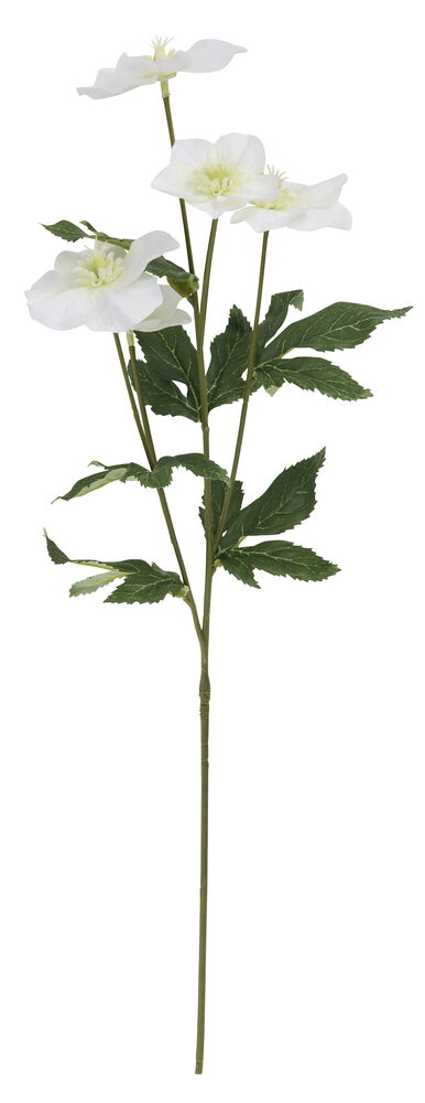 Julros