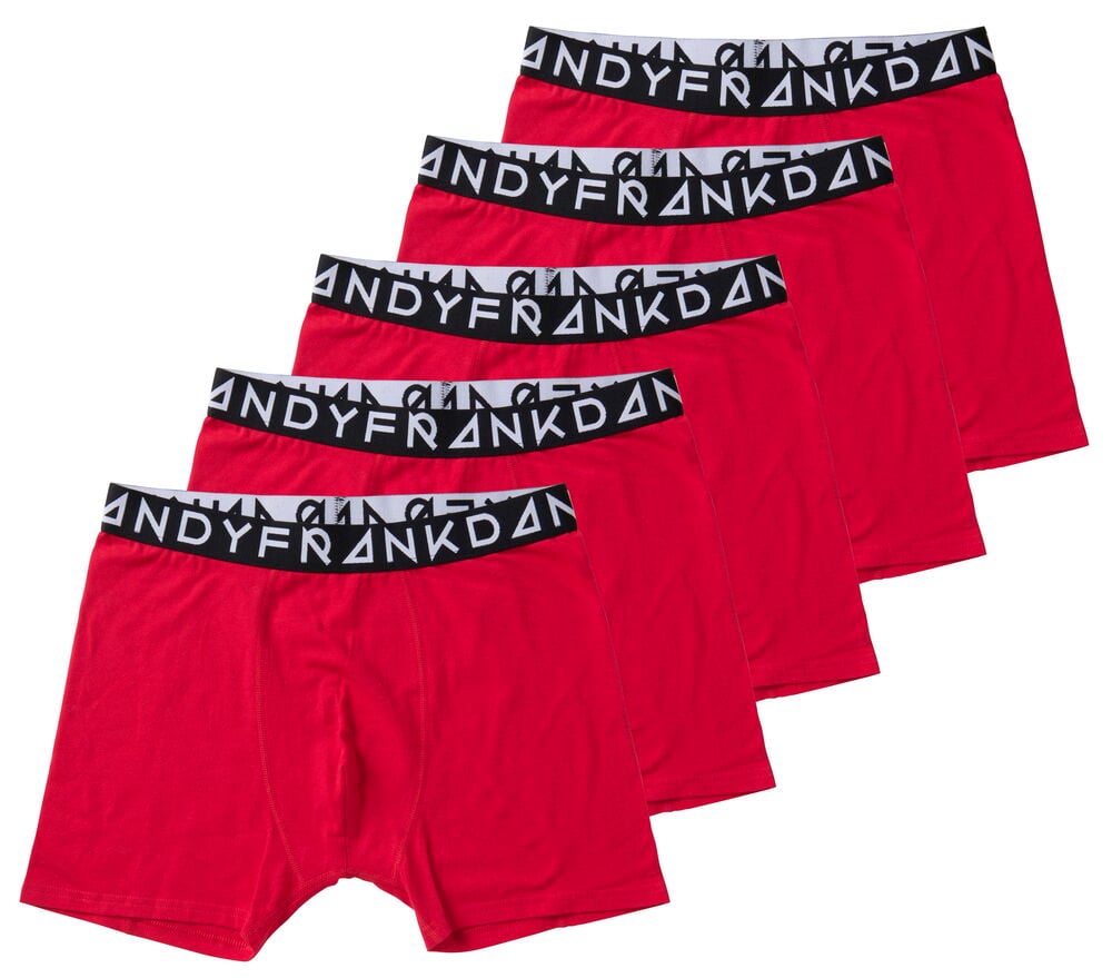 Bokser Frank Dandy