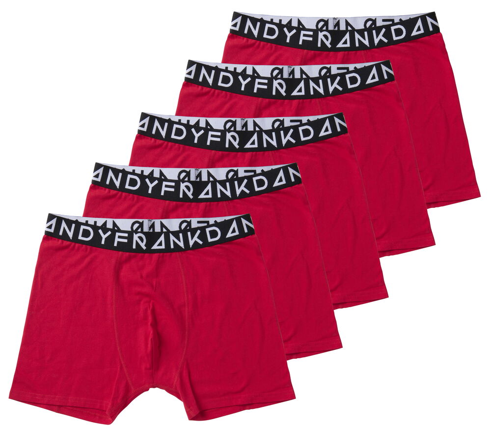 Bokser Frank Dandy