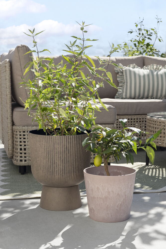 7 liter pflanztopf Pflanztopf Kunststoff – Robuster Blumentopf für Garten & Balkon – Flora  Boost main image 1